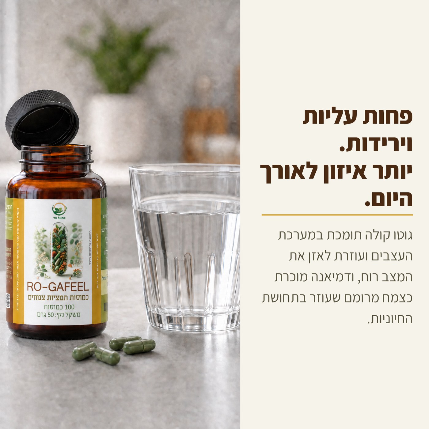 רוגע-פיל · תוסף מצב הרוח gallery 2