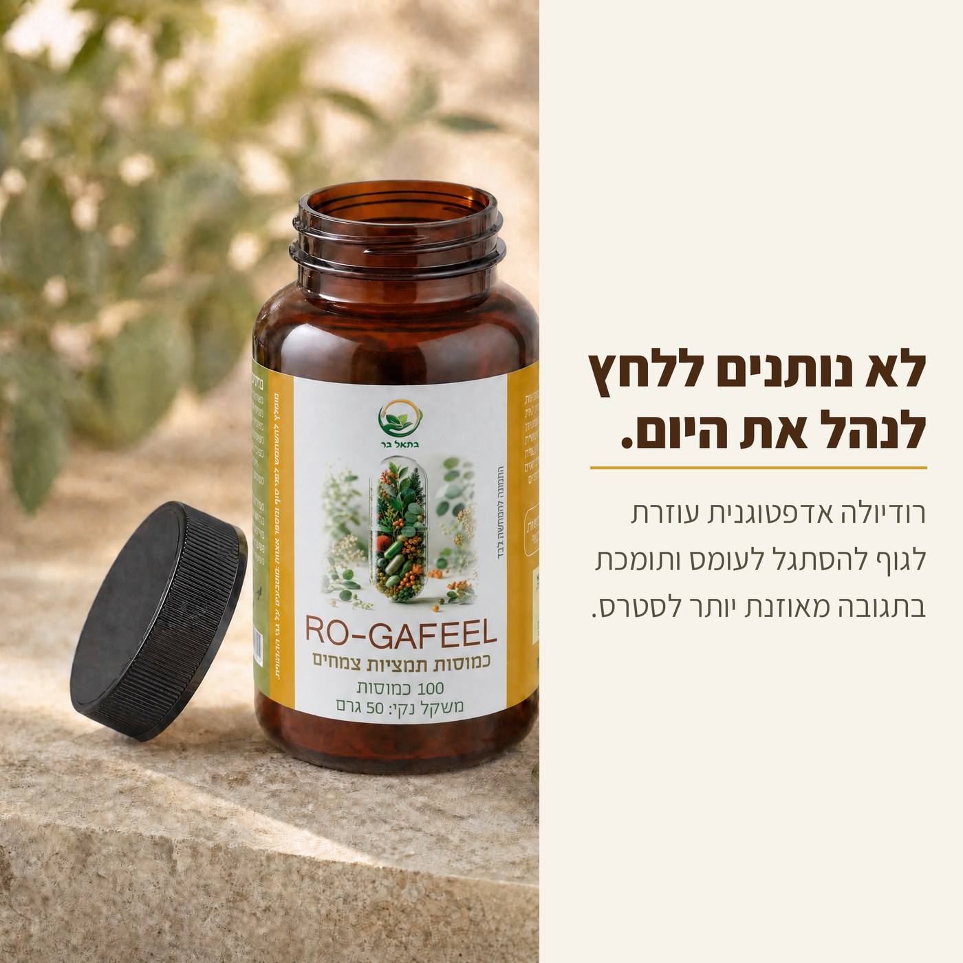 רוגע-פיל · תוסף מצב הרוח gallery 3